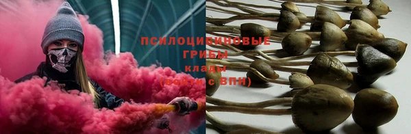 молекула духа Лагань