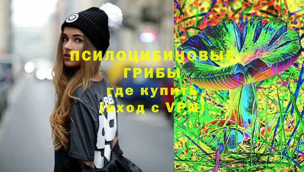 молекула духа Лагань