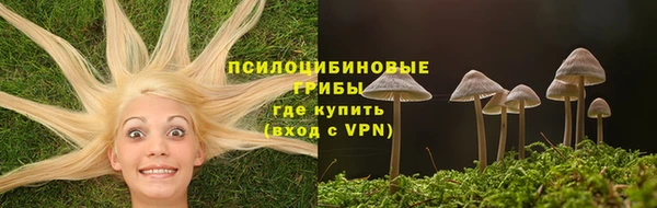 молекула духа Лагань